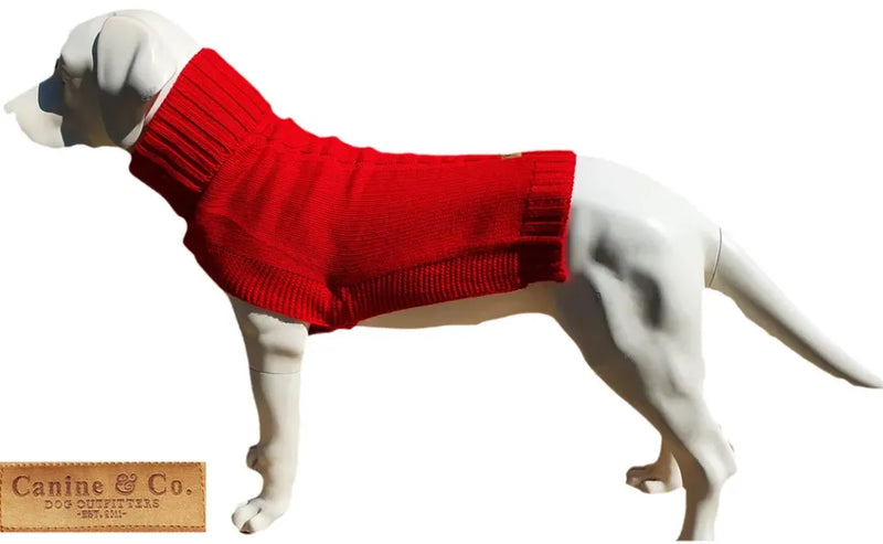 The Jazz Dog Jumper in Red