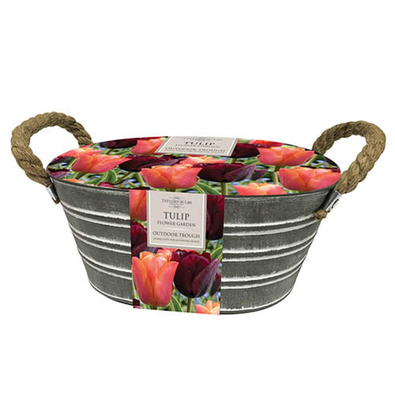 Outdoor Metal Tulip Planter